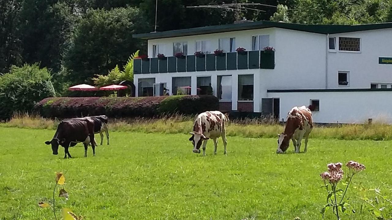 Waldhotel Dierdorf Exterior foto